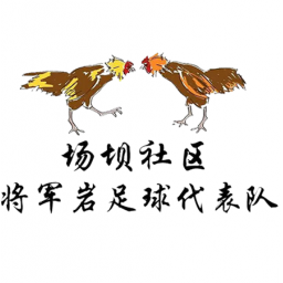 场坝村将军岩