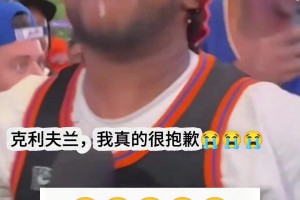 球迷想象力丰富：哈腾和卡斯尔的《世界名画》